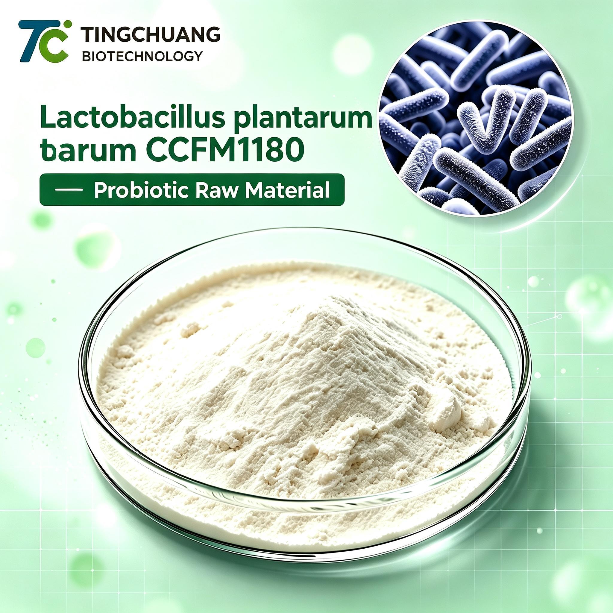 Lactobacillus plantarum CCFM1180 Probiotic Raw Material Powder for Gut Health Supplements and Custom Probiotic Formulations